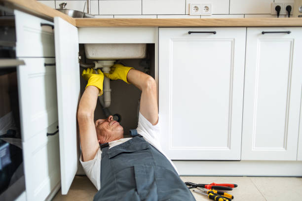 Best Same-Day Plumbing Service  in Naples Manor, FL