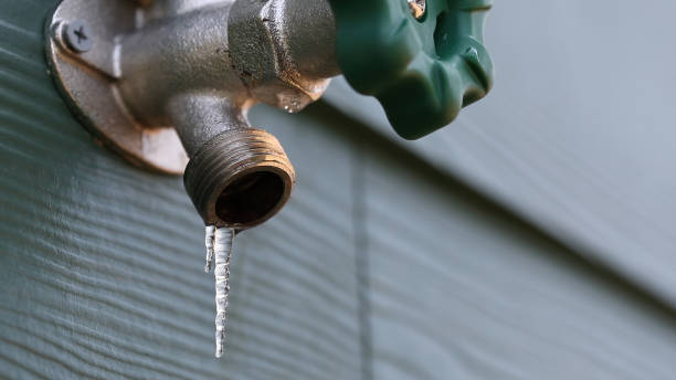 Best Emergency Plumbing Repair  in Naples Manor, FL